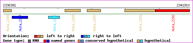 gene map