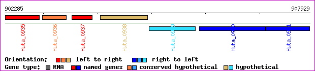 gene map