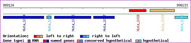 gene map