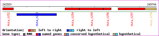 gene map
