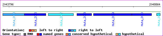 gene map