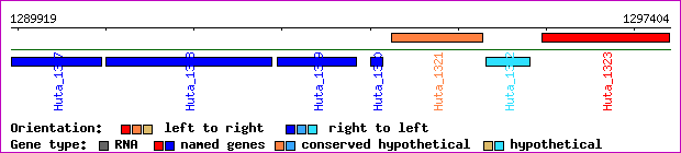 gene map