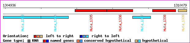 gene map