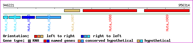 gene map