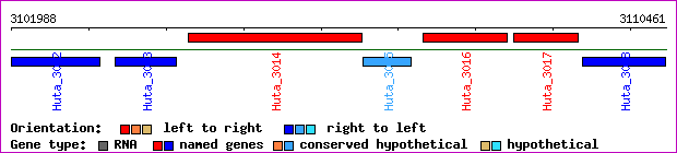 gene map