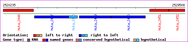 gene map