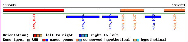 gene map