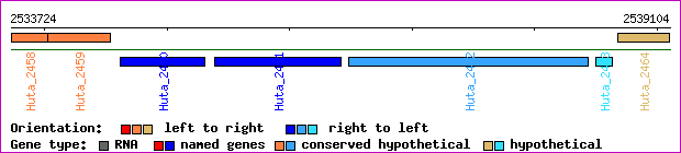 gene map