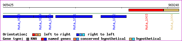 gene map
