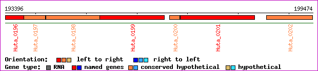 gene map