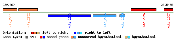 gene map