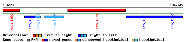 gene map