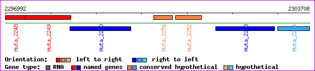 gene map