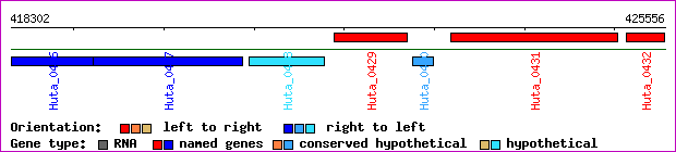 gene map