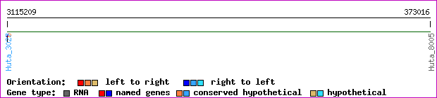 gene map