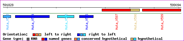gene map