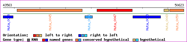 gene map
