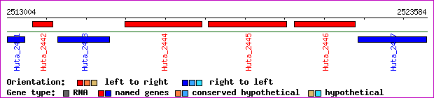 gene map