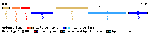 gene map