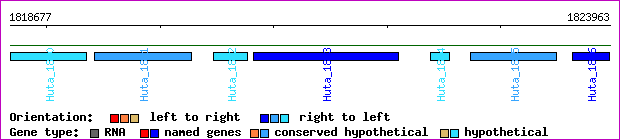 gene map