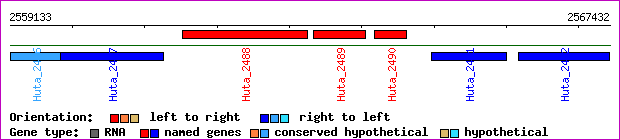gene map