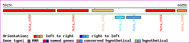 gene map