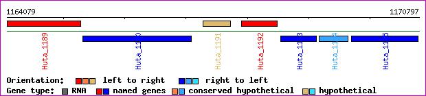 gene map