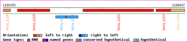 gene map