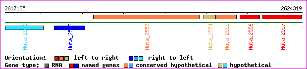 gene map