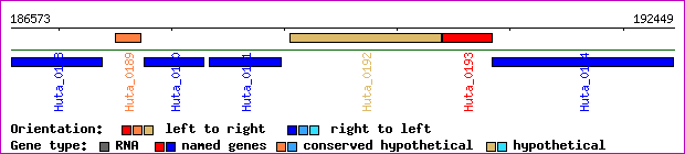 gene map