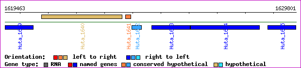 gene map