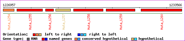 gene map