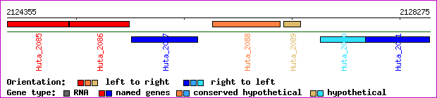 gene map