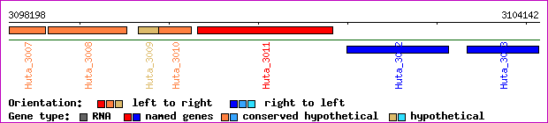 gene map