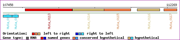 gene map