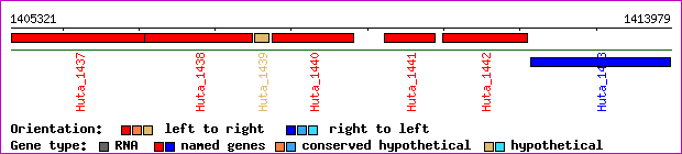 gene map
