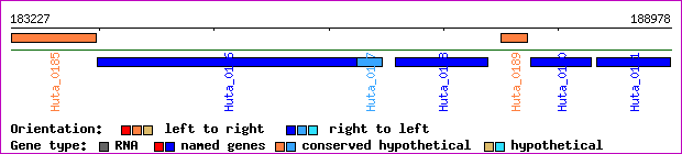 gene map