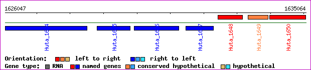 gene map
