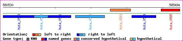 gene map