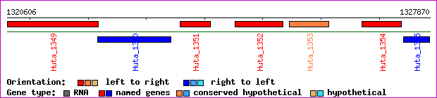 gene map