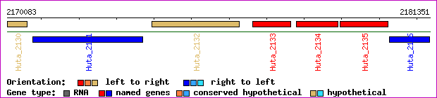 gene map