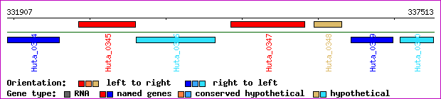 gene map