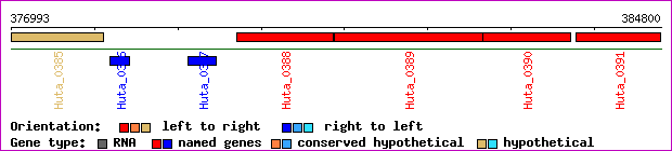 gene map