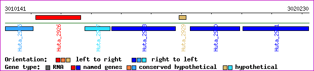 gene map