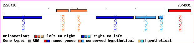 gene map