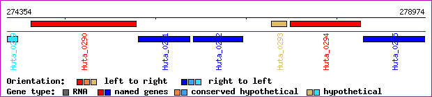 gene map