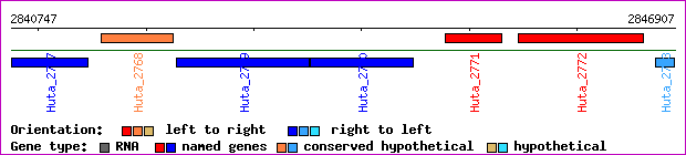 gene map