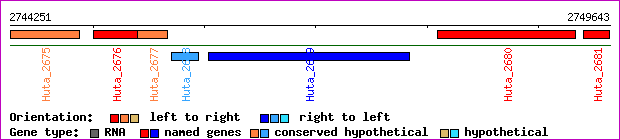 gene map