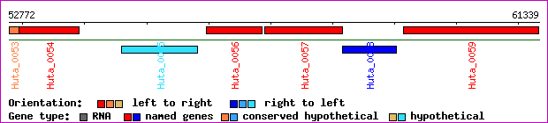 gene map
