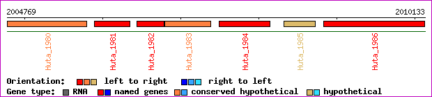gene map
